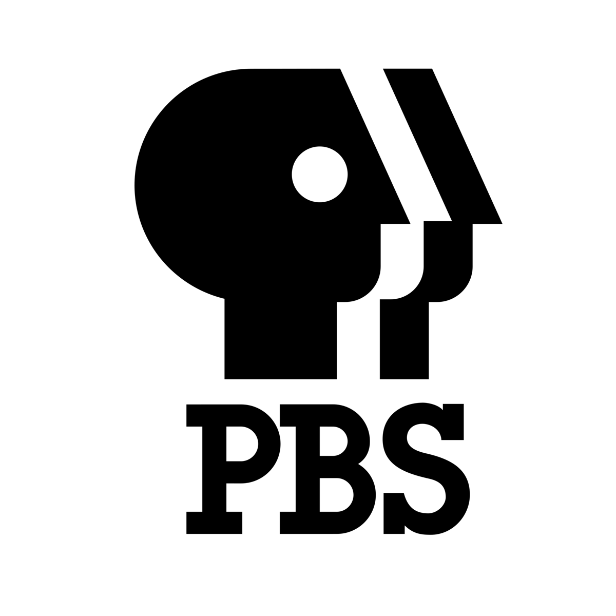 Public Broadcasting Service