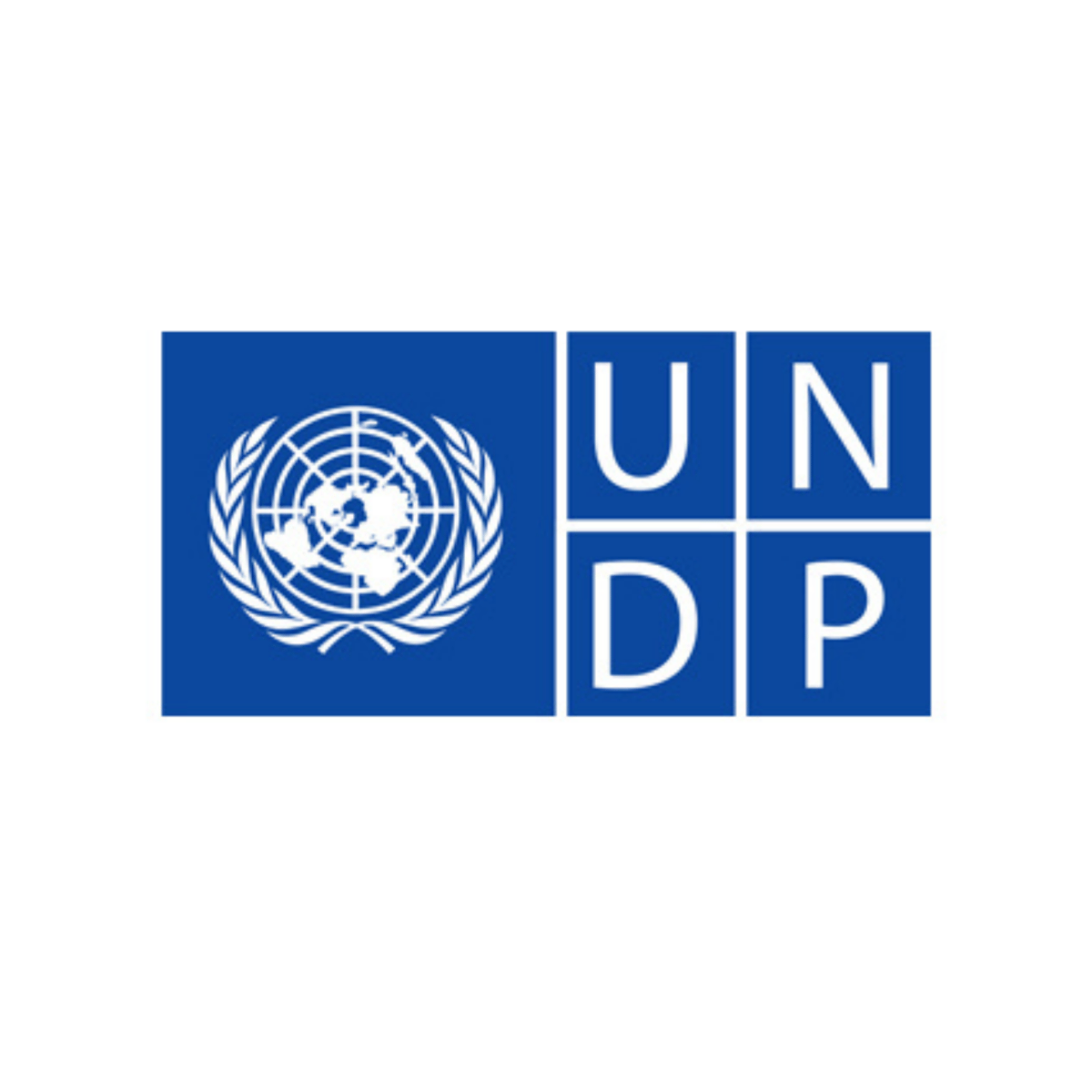 United Nations Development Programme